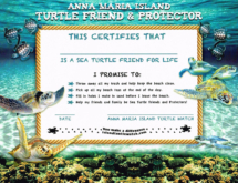 Turtle_certificate_01